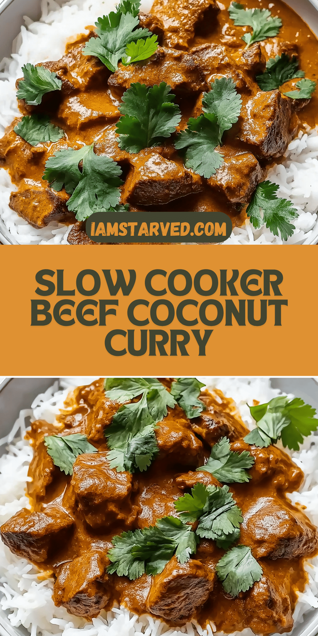 Slow Cooker Beef Coconut Curry | Iam Starved