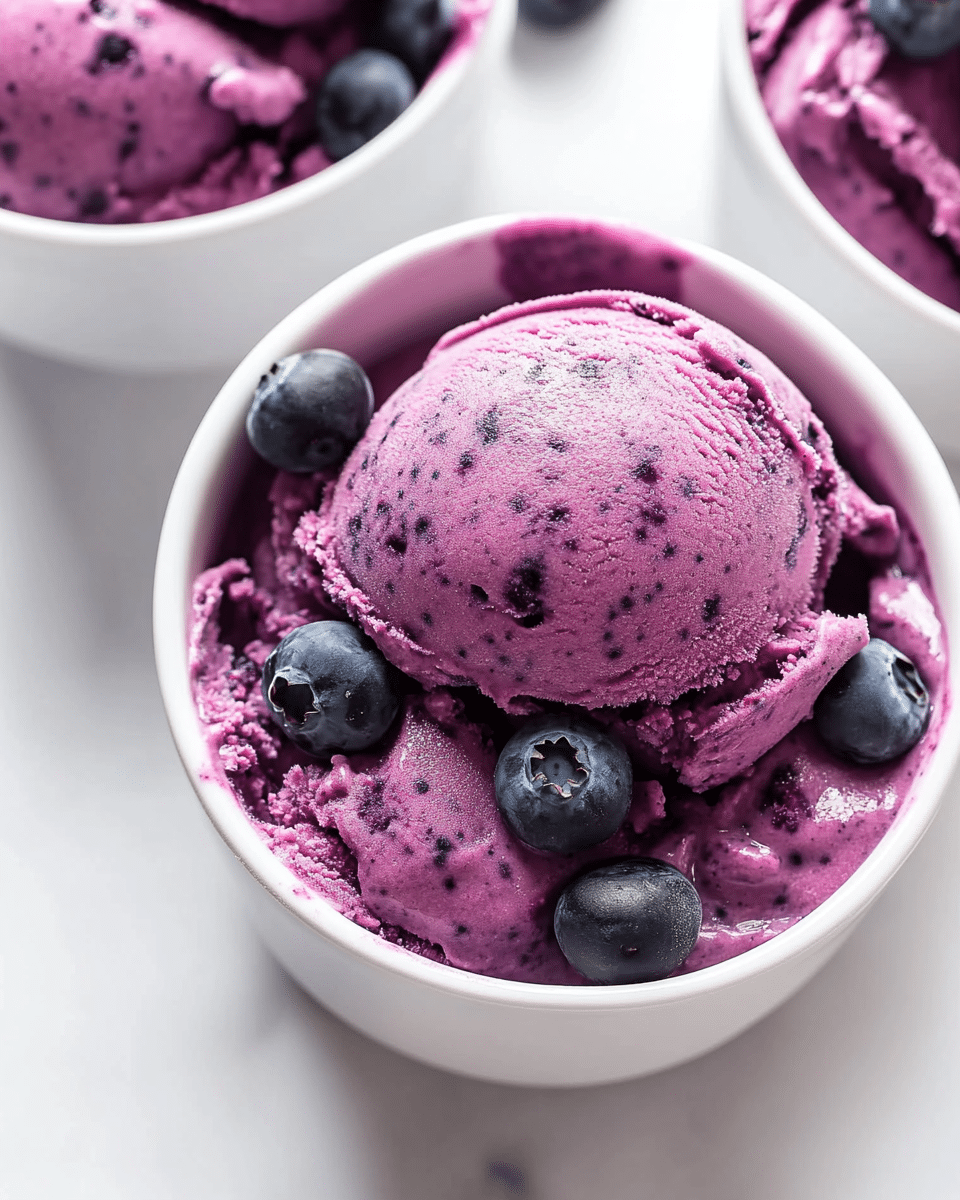 3 Ingredient Blueberry Frozen Yogurt