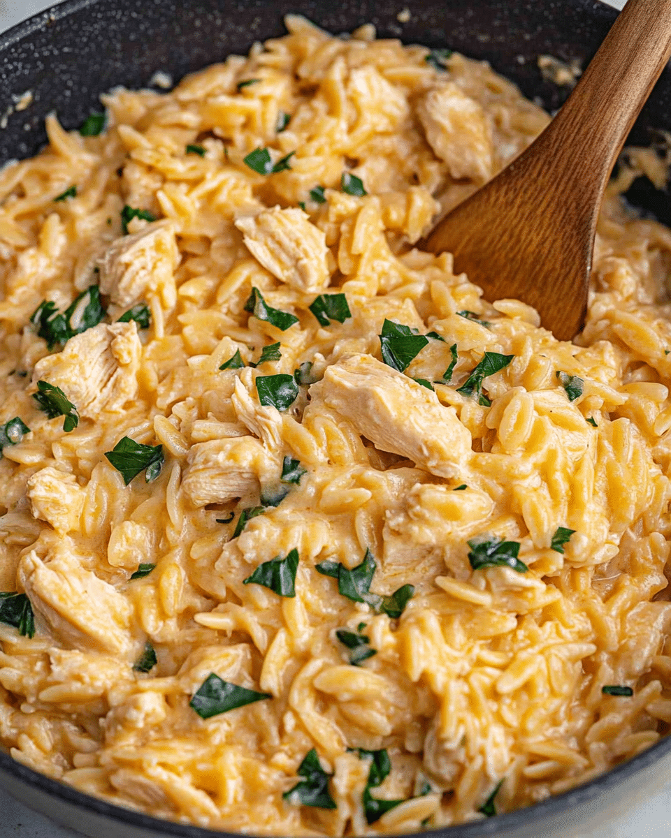 Creamy Chicken Orzo