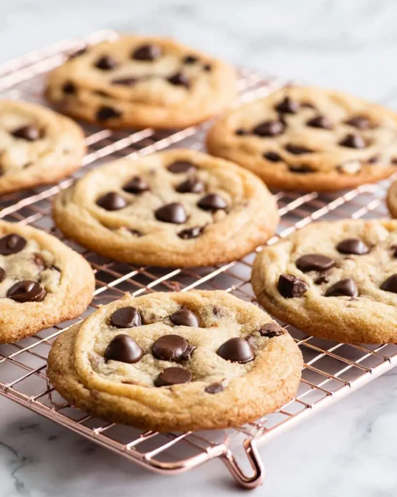The Best Chocolate Chip Cookie Recipe Ever Recipe