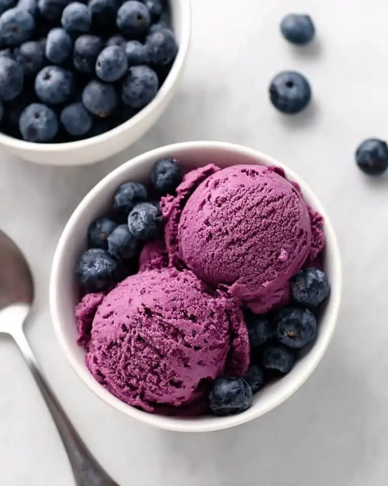 3 Ingredient Blueberry Frozen Yogurt Recipe