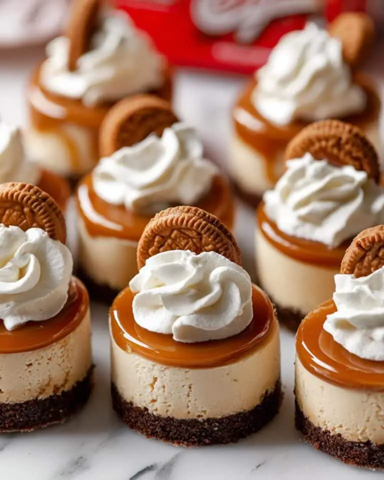 No Bake Mini Biscoff Cheesecakes Recipe