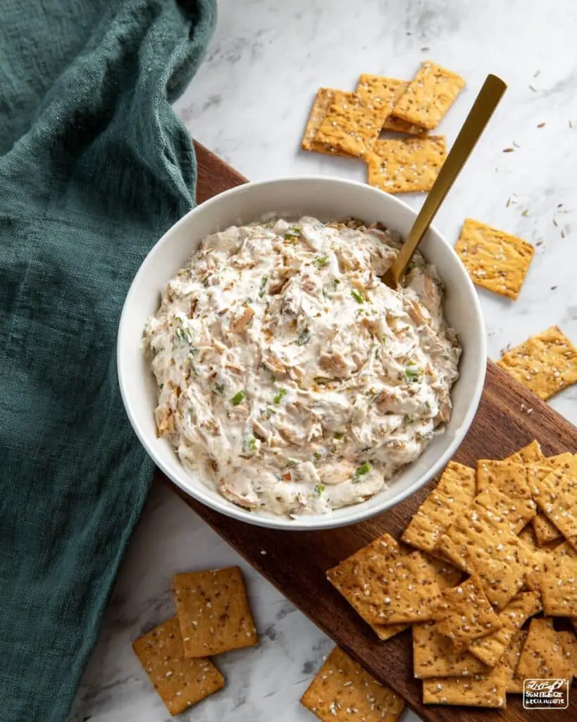 Caramelized Onion Dip Recipe