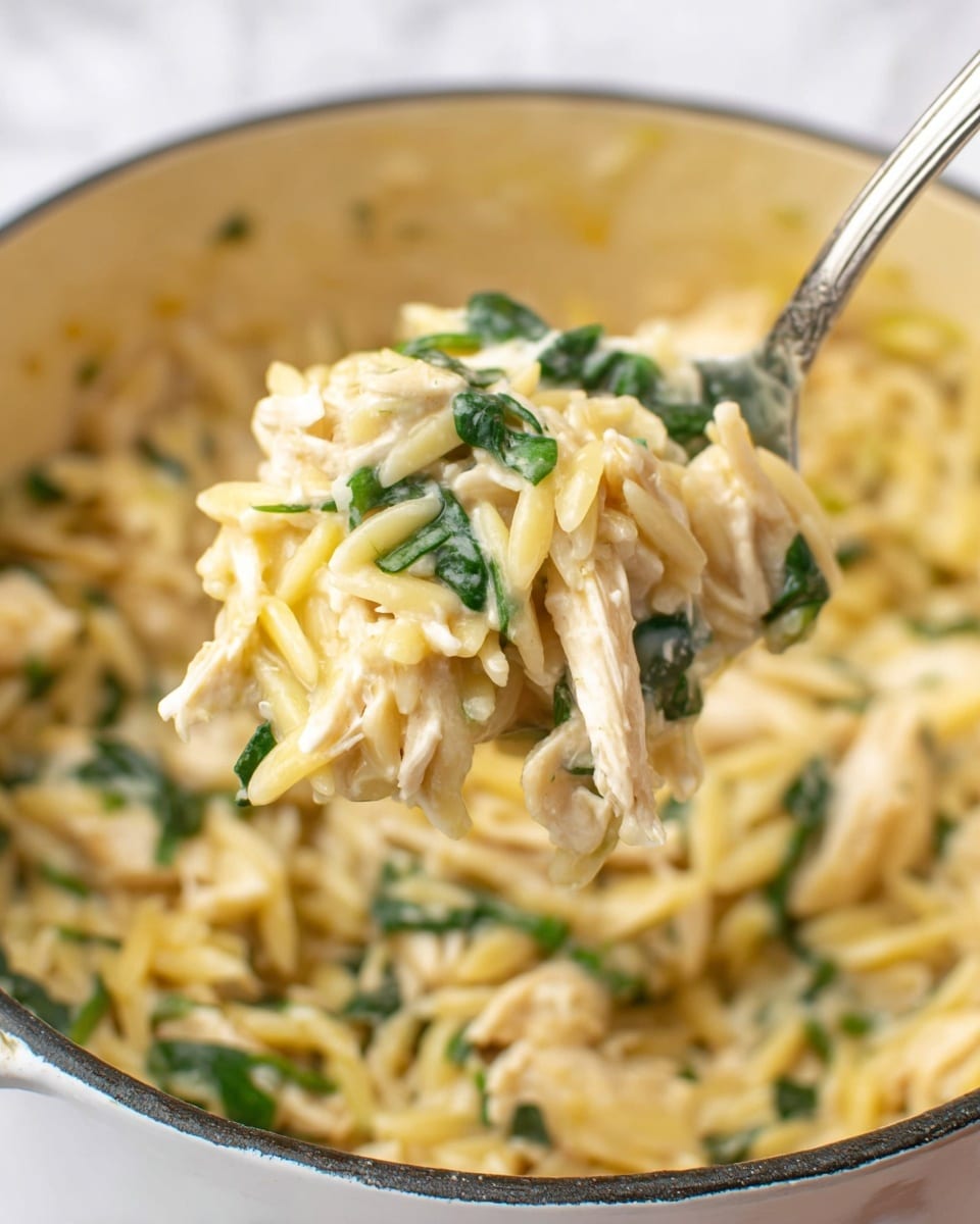 Lemon Chicken Orzo Recipe