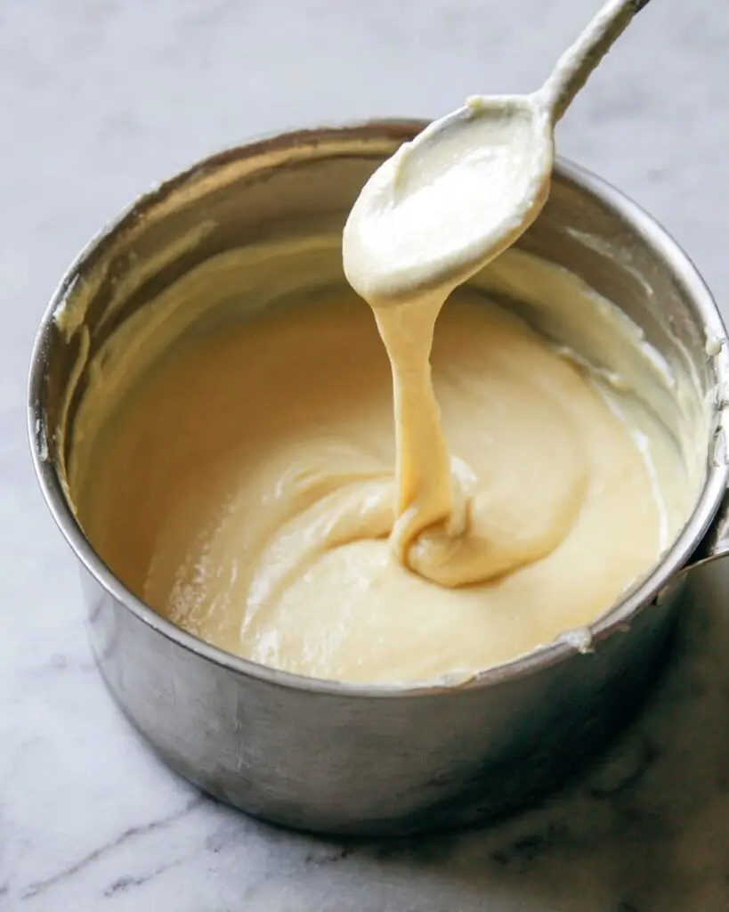 Vegan Mozzarella Cheese Recipe