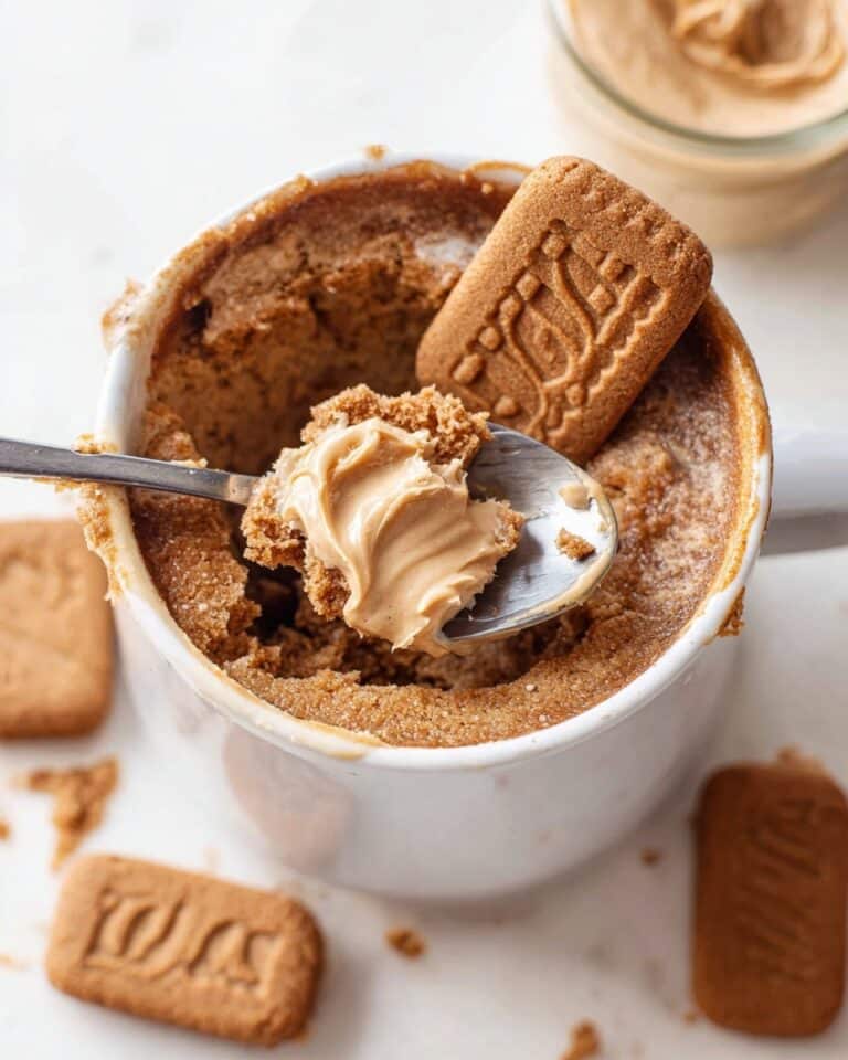 Biscoff Mug Cake Recipe
