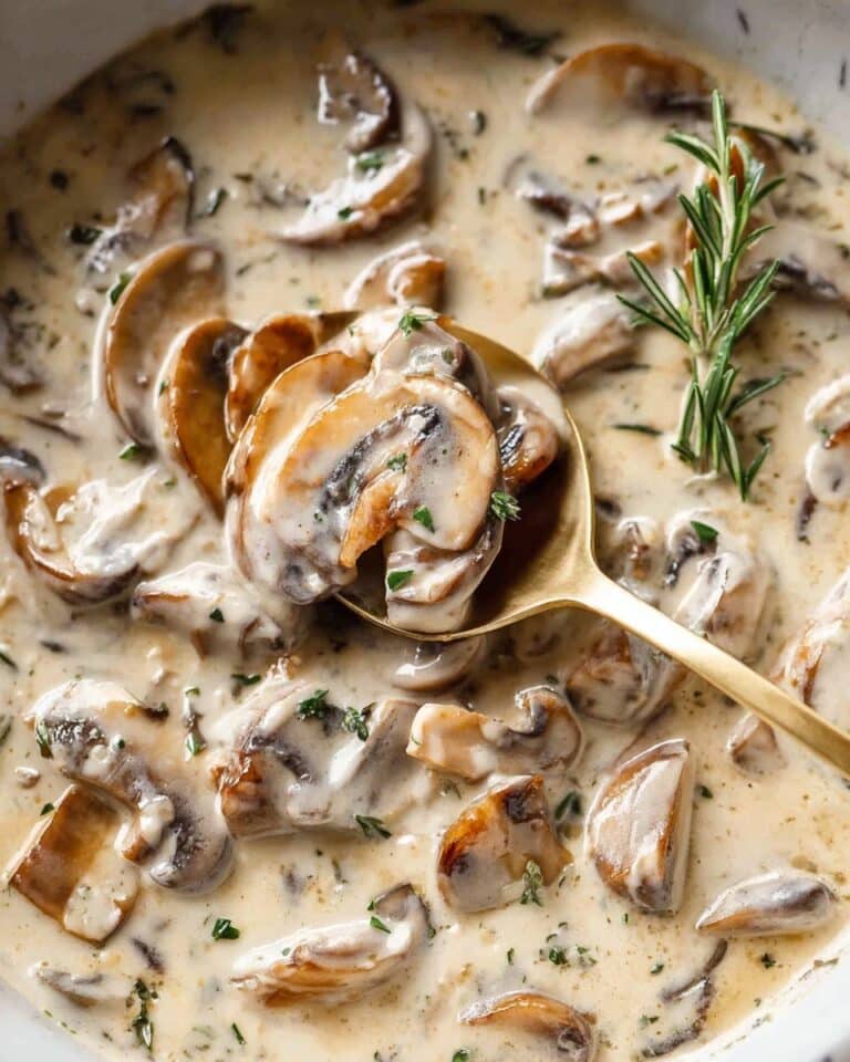 Mushroom Cream Sauce Recipe